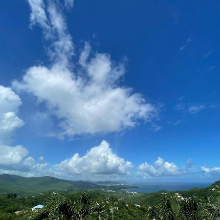 Villa les Alizés Morne Blanc Esterno foto