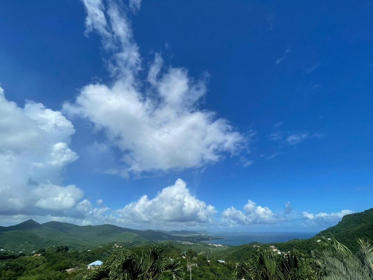 Villa les Alizés Morne Blanc Esterno foto